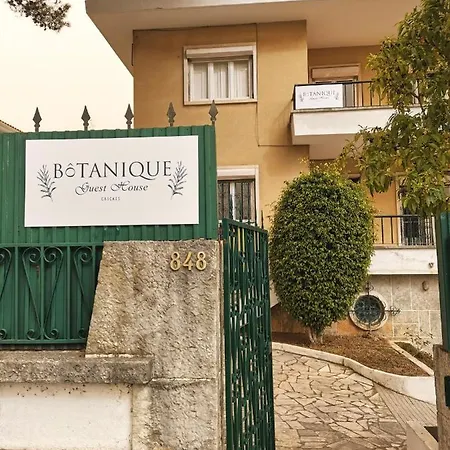 Botanique Guest house *