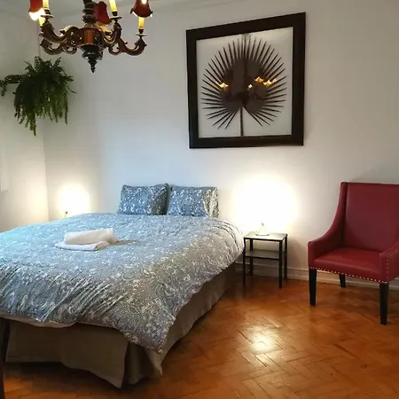 Botanique Guest house *