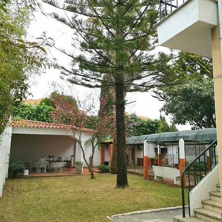 Botanique 카스카이스