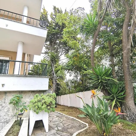 Botanique بيت ضيافة